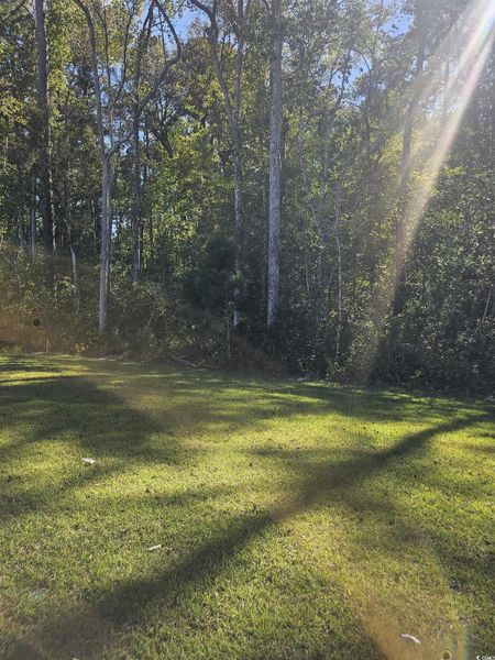 Natural landscape and outdoor views near Avery Woods in Longs (Image 25). Natural landscape and outdoor views near Avery Woods in Longs (Image 25).