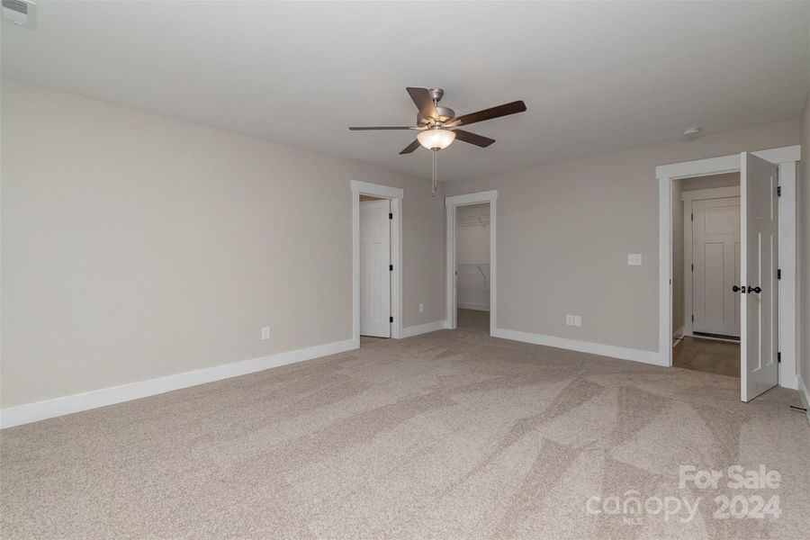 View looking at the Entry, Walk-in Closet, and Door into the Primary Bath