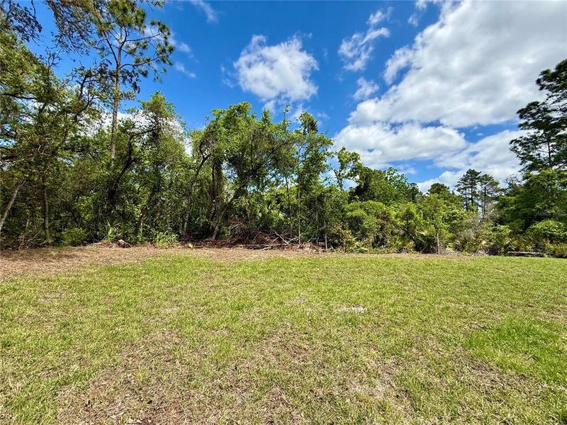 Natural landscape and outdoor views near  in Eustis (Image 42).