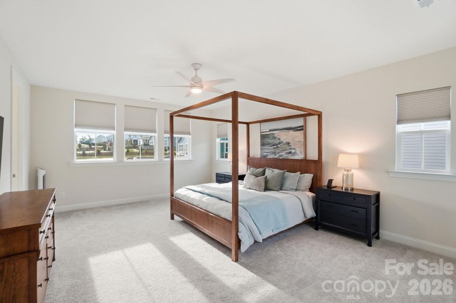 Furnished interior view inside a new home in , Belmont (Image 29).