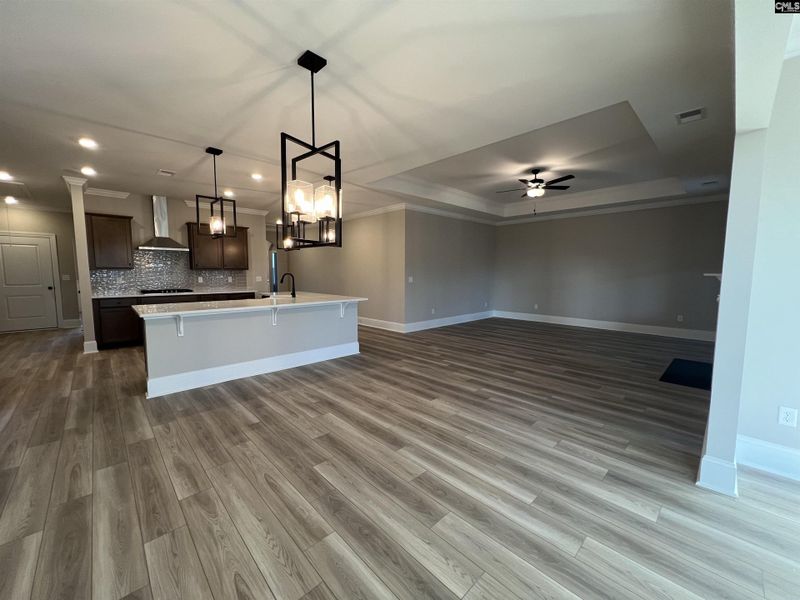 Spacious, unfurnished interior of a new home in The Cove, Sumter (Image 26).