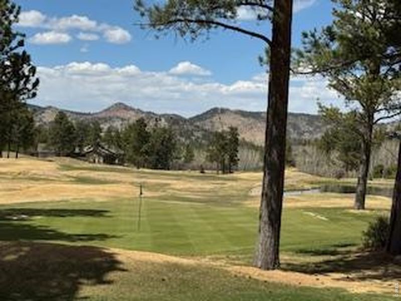 Natural landscape and outdoor views near  in Red Feather Lakes (Image 28).