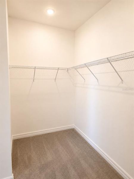 Spacious, unfurnished interior of a new home in Triple Creek: The Executives, Riverview (Image 17).