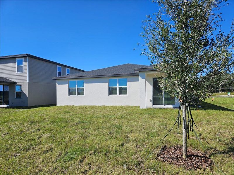 Exterior details and patio area of a home in The Reserve at Hammock Oaks - Signature Series, Lady Lake (Image 18).