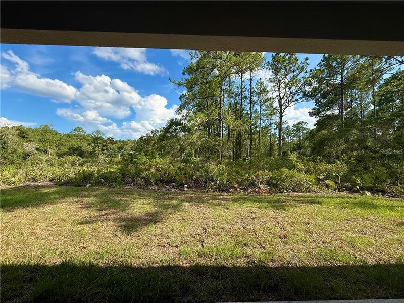 Natural landscape and outdoor views near in Eustis (Image 42). Natural landscape and outdoor views near in Eustis (Image 42).