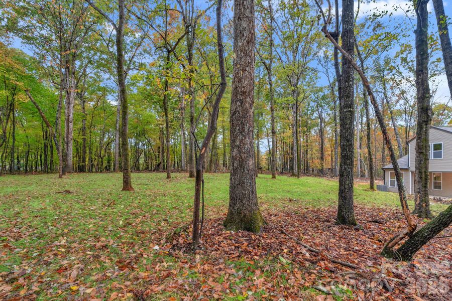 Natural landscape and outdoor views near  in Monroe (Image 45).