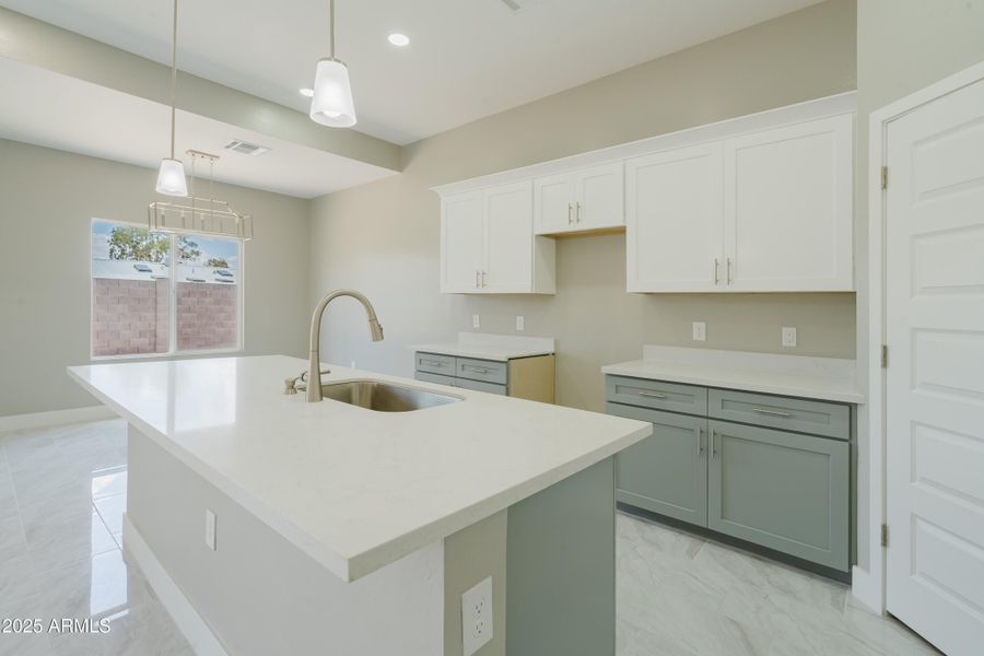 9893Sunbird-29 9893Sunbird-29