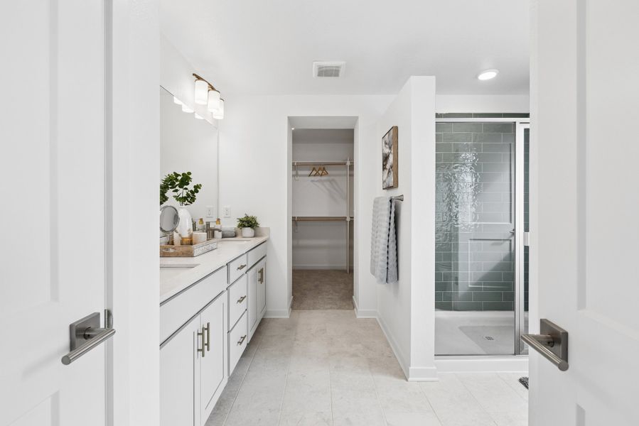 Owner's Bath