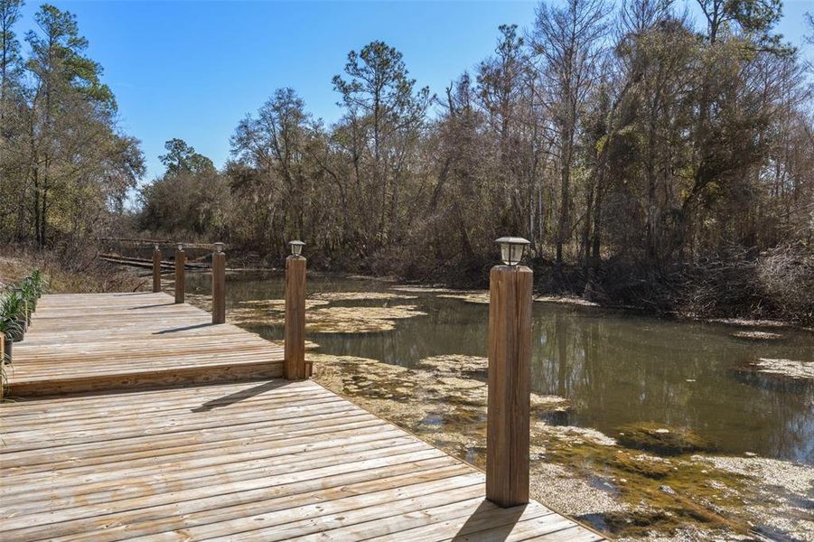 Natural landscape and outdoor views near  in Webster (Image 73).