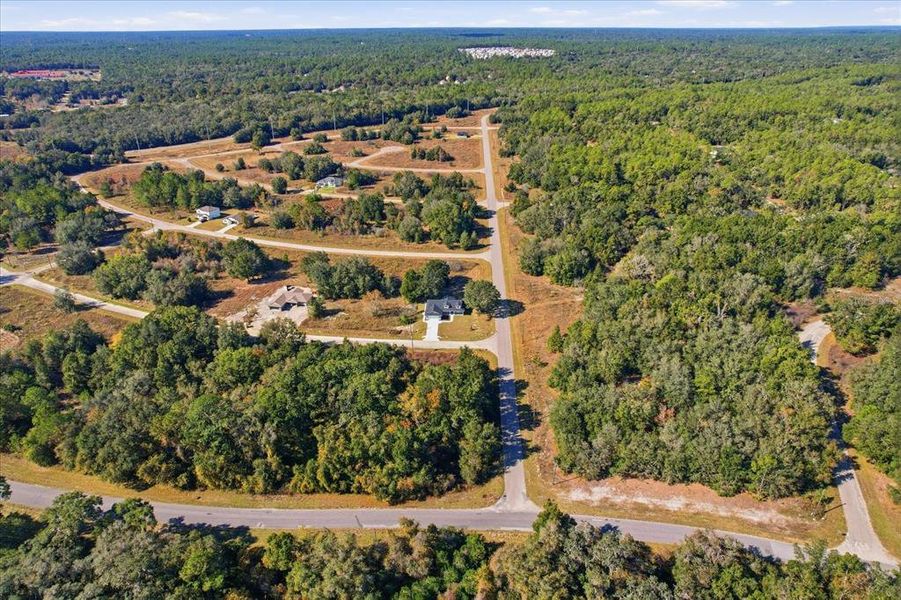 Natural landscape and outdoor views near  in Dunnellon (Image 30).