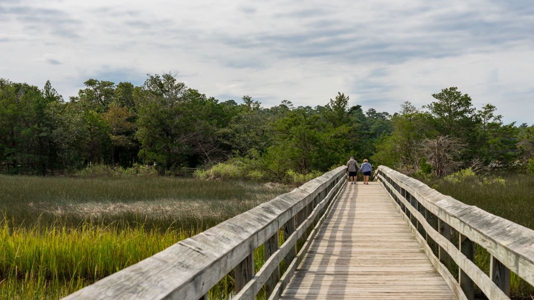 Natural landscape and outdoor views near Sandridge Park in Little River (Image 14).