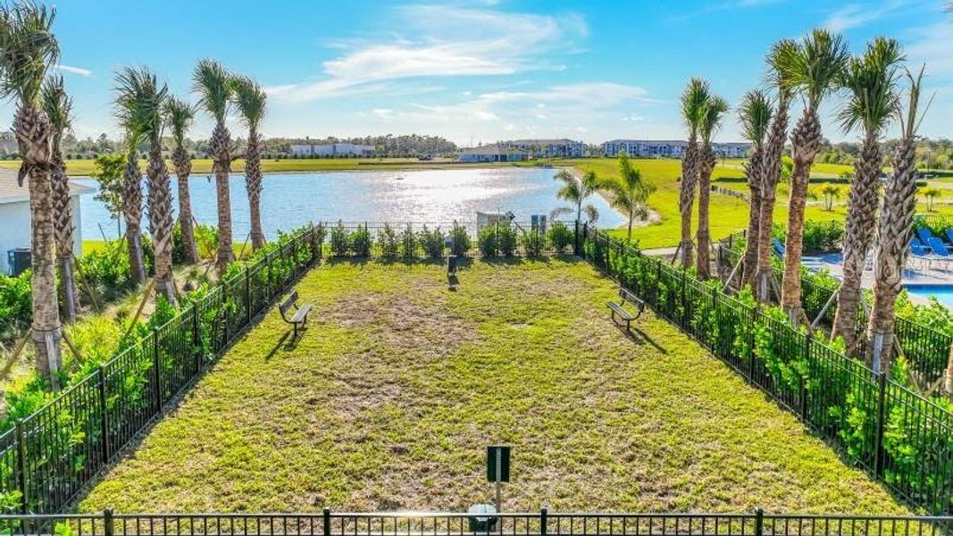 Natural landscape and outdoor views near Sea Cove in Punta Gorda (Image 21).