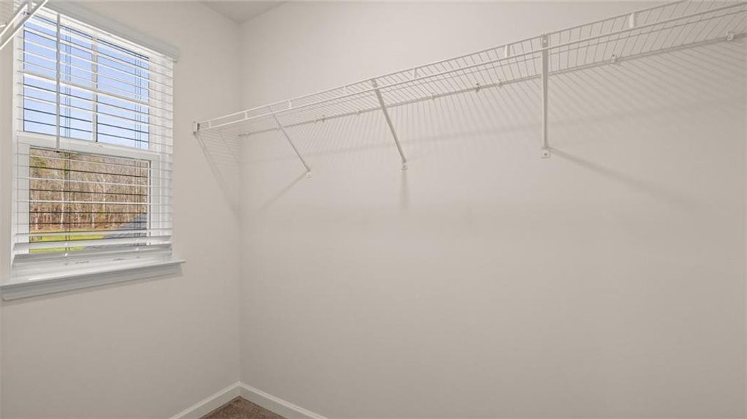 Spacious, unfurnished interior of a new home in Westland, Bogart (Image 7).