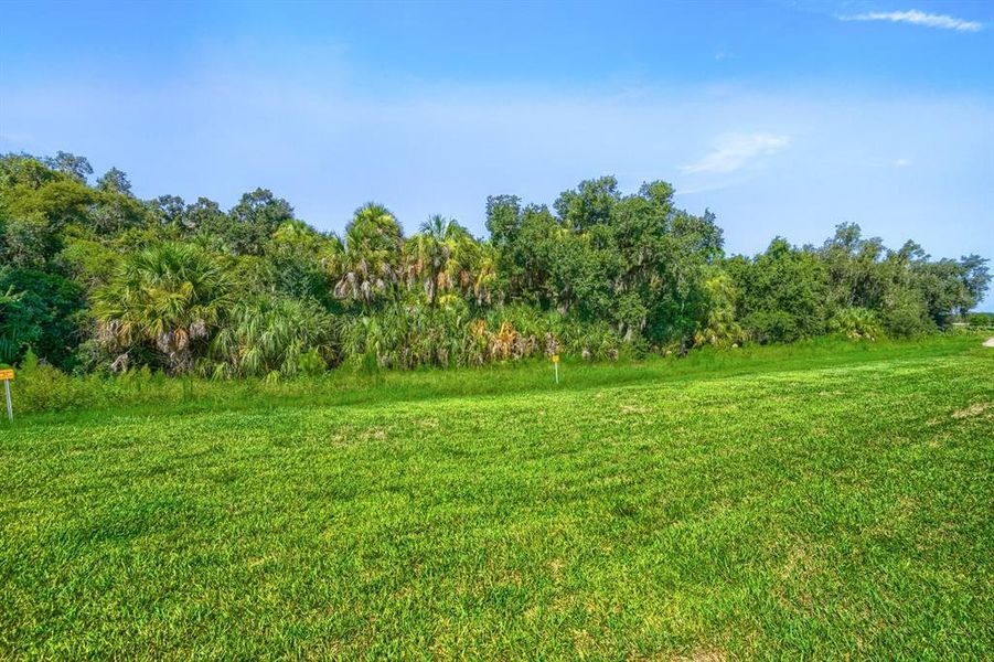 Natural landscape and outdoor views near Salt Meadows - Classic Series in Parrish (Image 30). Natural landscape and outdoor views near Salt Meadows - Classic Series in Parrish (Image 30).