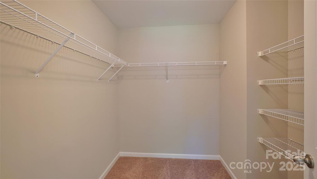 Photos are representative