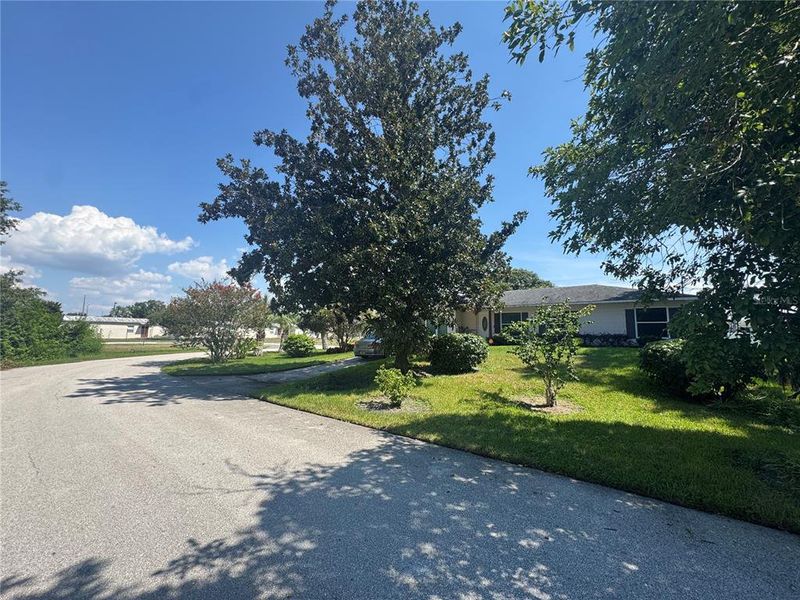 Natural landscape and outdoor views near  in Winter Garden (Image 28).