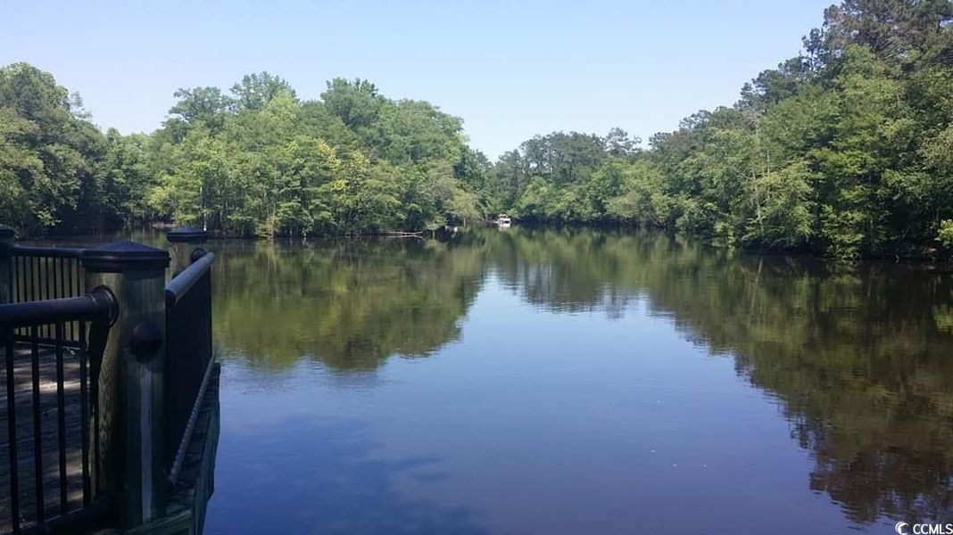Water view featuring a heavily wooded area Water view featuring a heavily wooded area