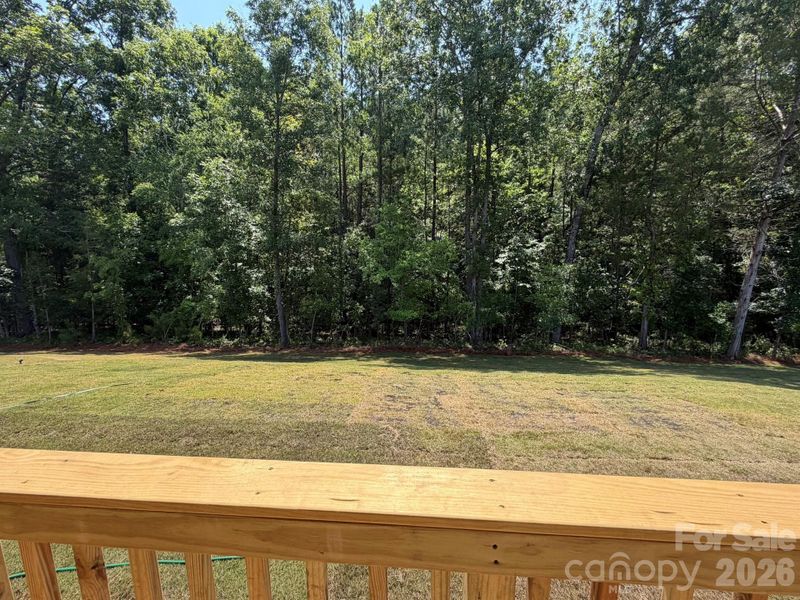 Backyard Backyard