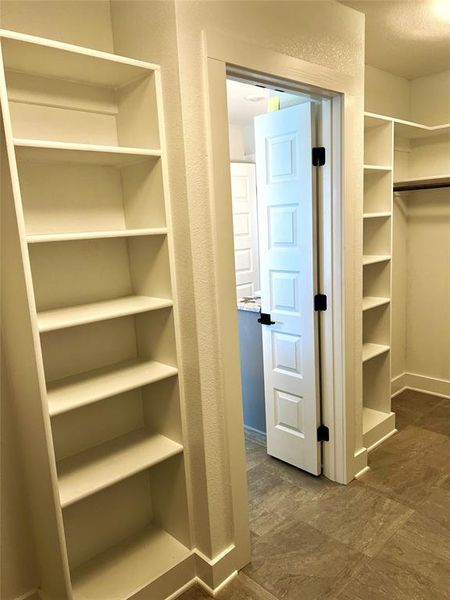 View of walk in closet View of walk in closet