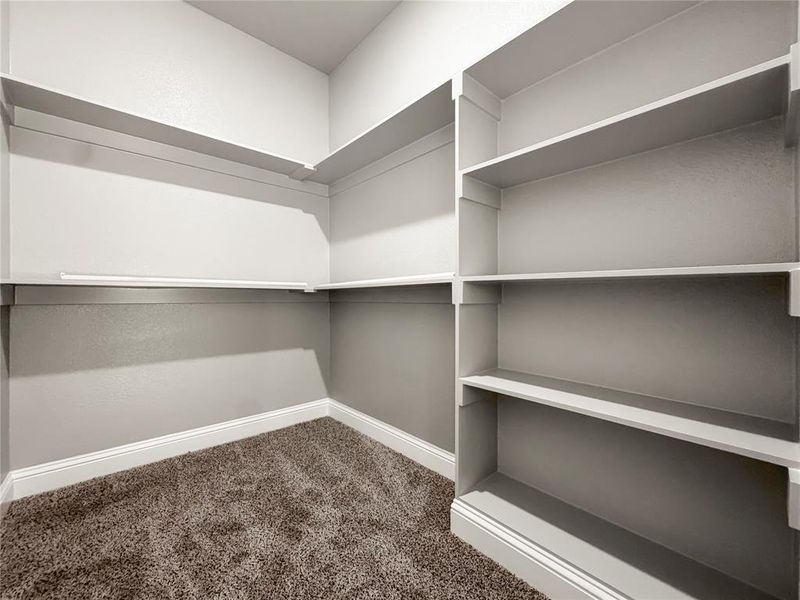 Spacious walk-in closet featuring built-in shelving, hanging rods, and plush carpet flooring
