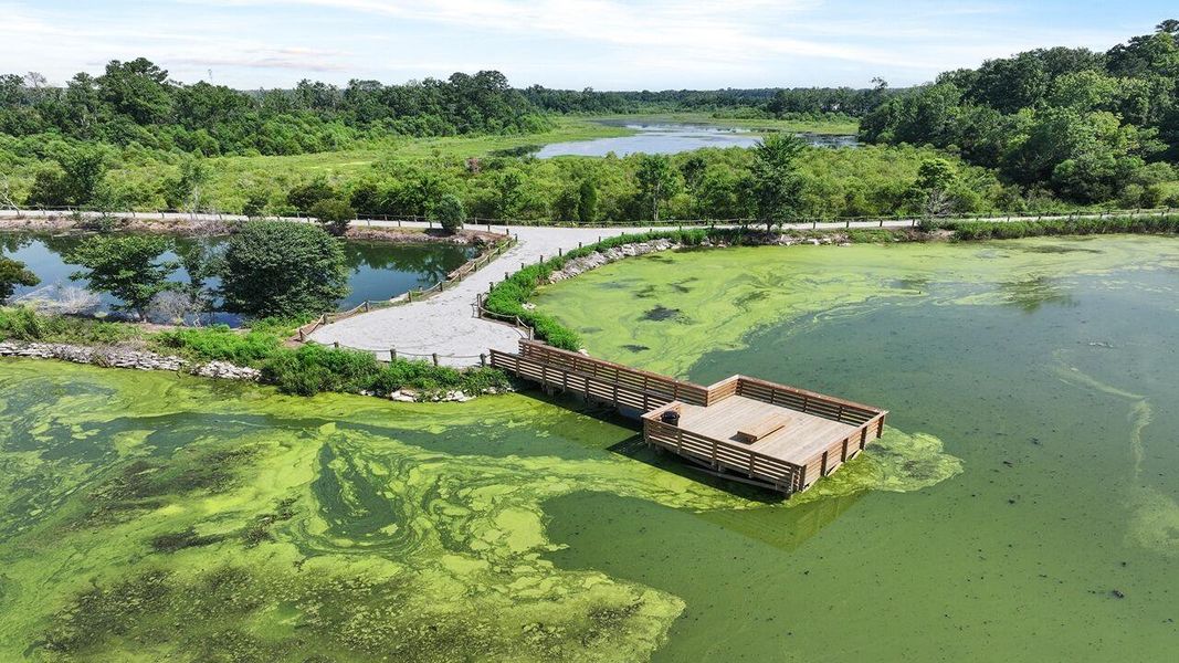 Image 28 of a home in Carolina Groves.