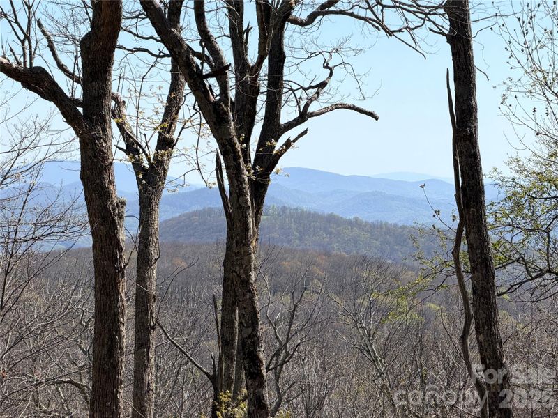 Past spring views from deck, zoomed Past spring views from deck, zoomed