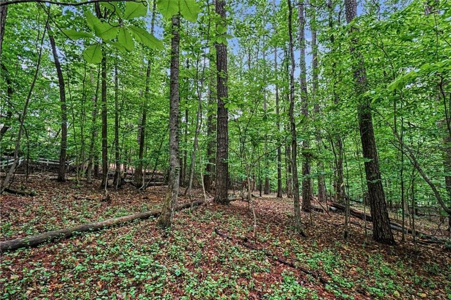 Natural landscape and outdoor views near  in Marietta (Image 27).