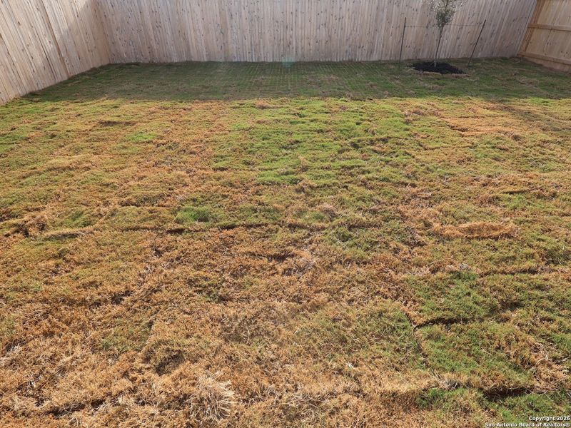 Exterior details and patio area of a home in Park Place, New Braunfels (Image 28).