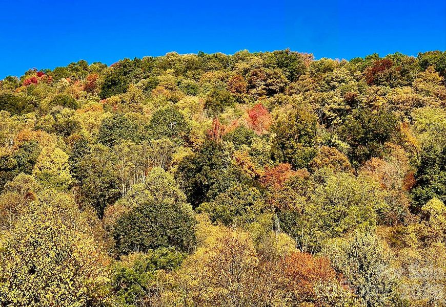 Natural landscape and outdoor views near  in Canton (Image 22).