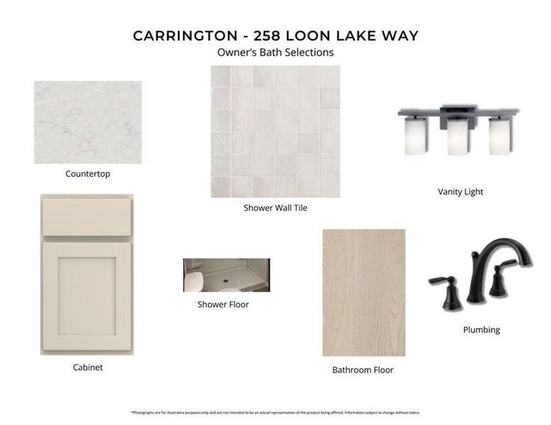 Sample of building materials used in homes in Twin Lakes, Hoschton (Image 6).