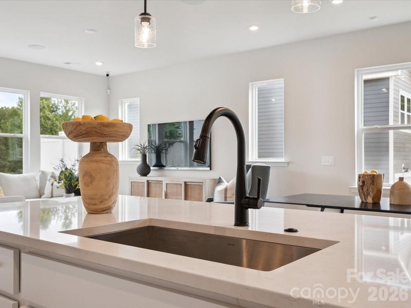 Large single bowl stainless steel island sink