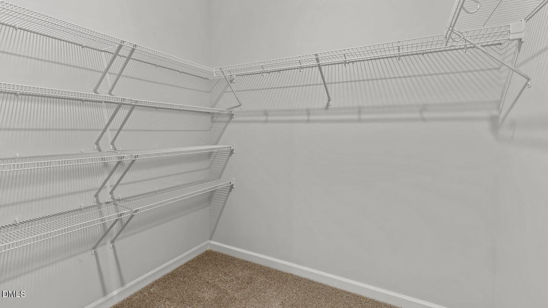 10-grazing-crop-youngsville-nc-usa-033