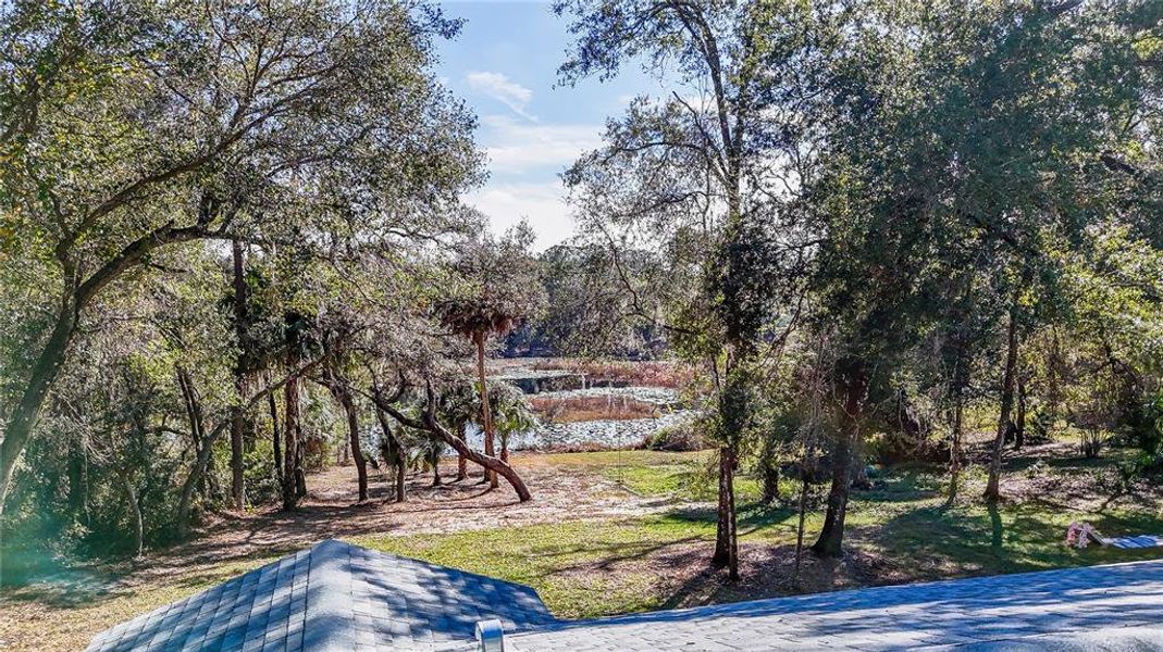 Natural landscape and outdoor views near  in Ocklawaha (Image 43).