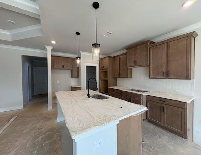 In-progress construction of a new home in Garland Meadows, Cartersville, GA (Image 4).