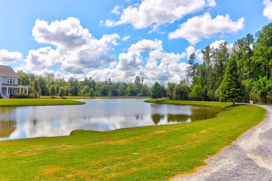 Natural landscape and outdoor views near Sweetgrass at Summers Corner: Arbor Collection in Summerville (Image 40).