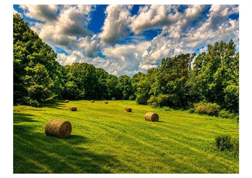 Natural landscape and outdoor views near in Ellijay (Image 127). Natural landscape and outdoor views near in Ellijay (Image 127).