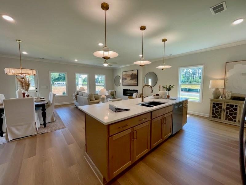 Furnished interior view inside a new home in Winsome Park, Woodstock (Image 3). Furnished interior view inside a new home in Winsome Park, Woodstock (Image 3).