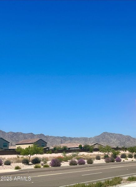 processed-99615C71-361C-4EDE-BABA-86733A