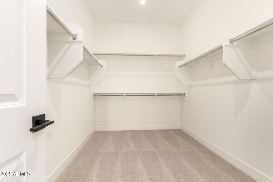 21 - Wollemi 43513 21 - Wollemi 43513