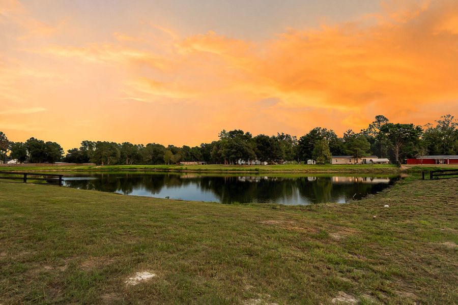 Natural landscape and outdoor views near  in Dorchester (Image 56).