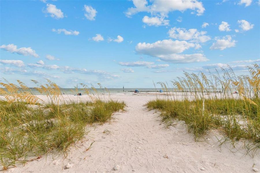 Natural landscape and outdoor views near  in Dunedin (Image 37).