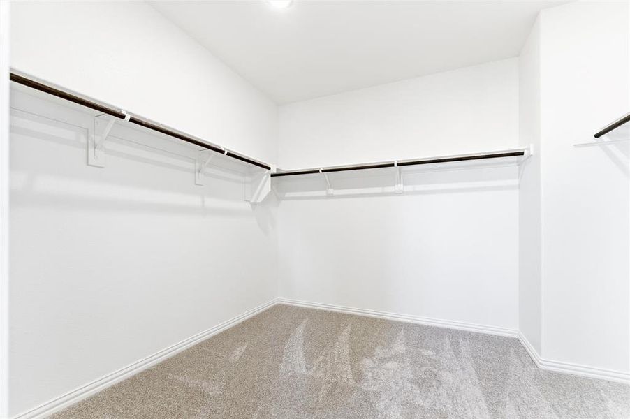 Walk in closet featuring carpet floors