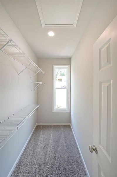 Spacious, unfurnished interior of a new home in , Dahlonega (Image 20).