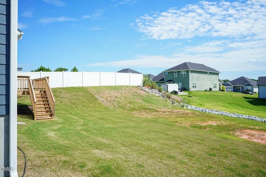 Back Yard 02 Back Yard 02