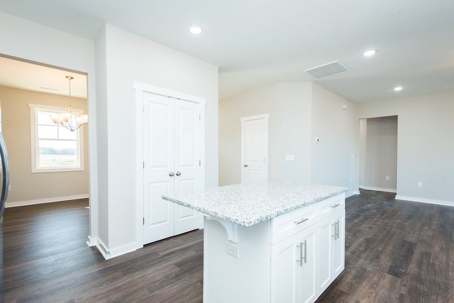 Representative furnished interior of a home built from the Polk by Foundation Home Builders LLC in Sandi Estates, Stantonsburg (Image 13).
