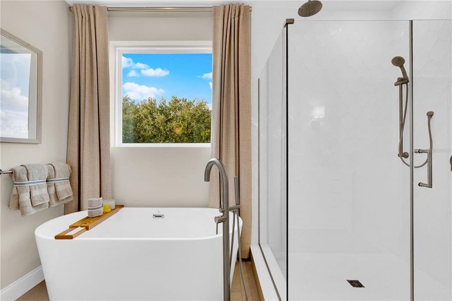 Furnished interior view inside a new home in , Winter Garden (Image 18). Furnished interior view inside a new home in , Winter Garden (Image 18).