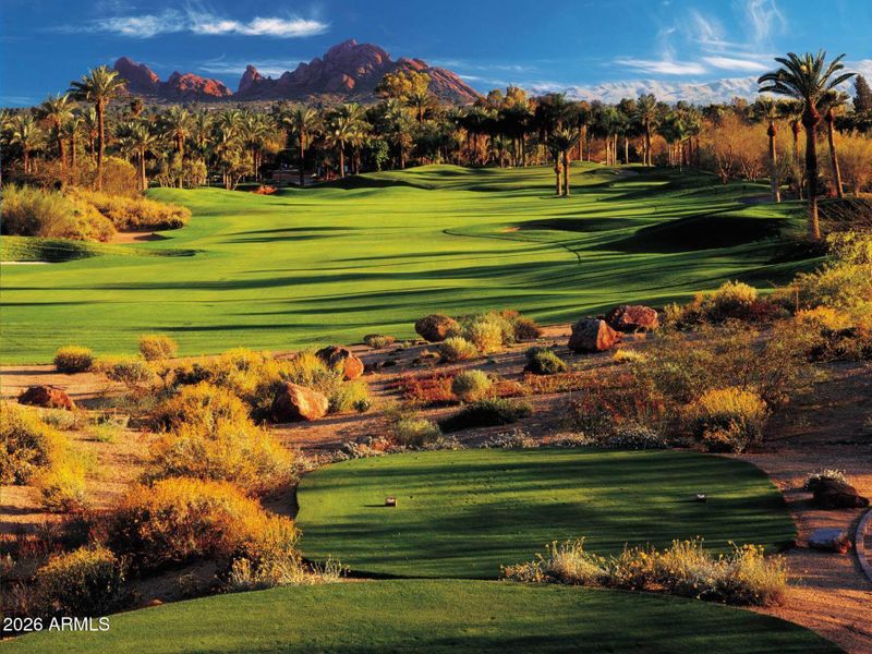 Phoenician-1-1 Phoenician-1-1