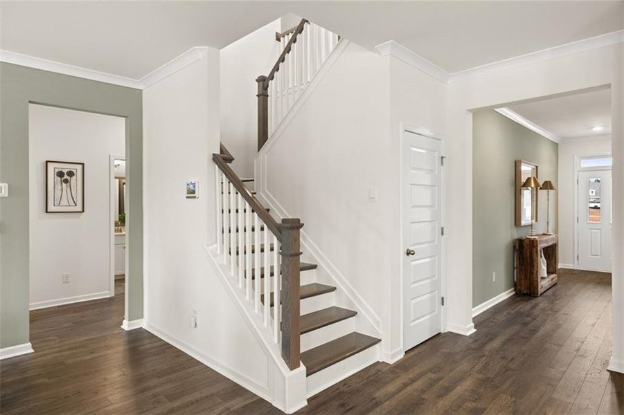 Spacious, unfurnished interior of a new home in Westland, Statham (Image 19).