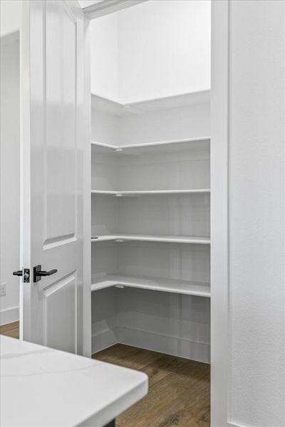 Generous walk in pantry with motion sensor lighting