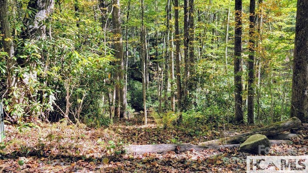 Image 11 of a home in . Image 11 of a home in .